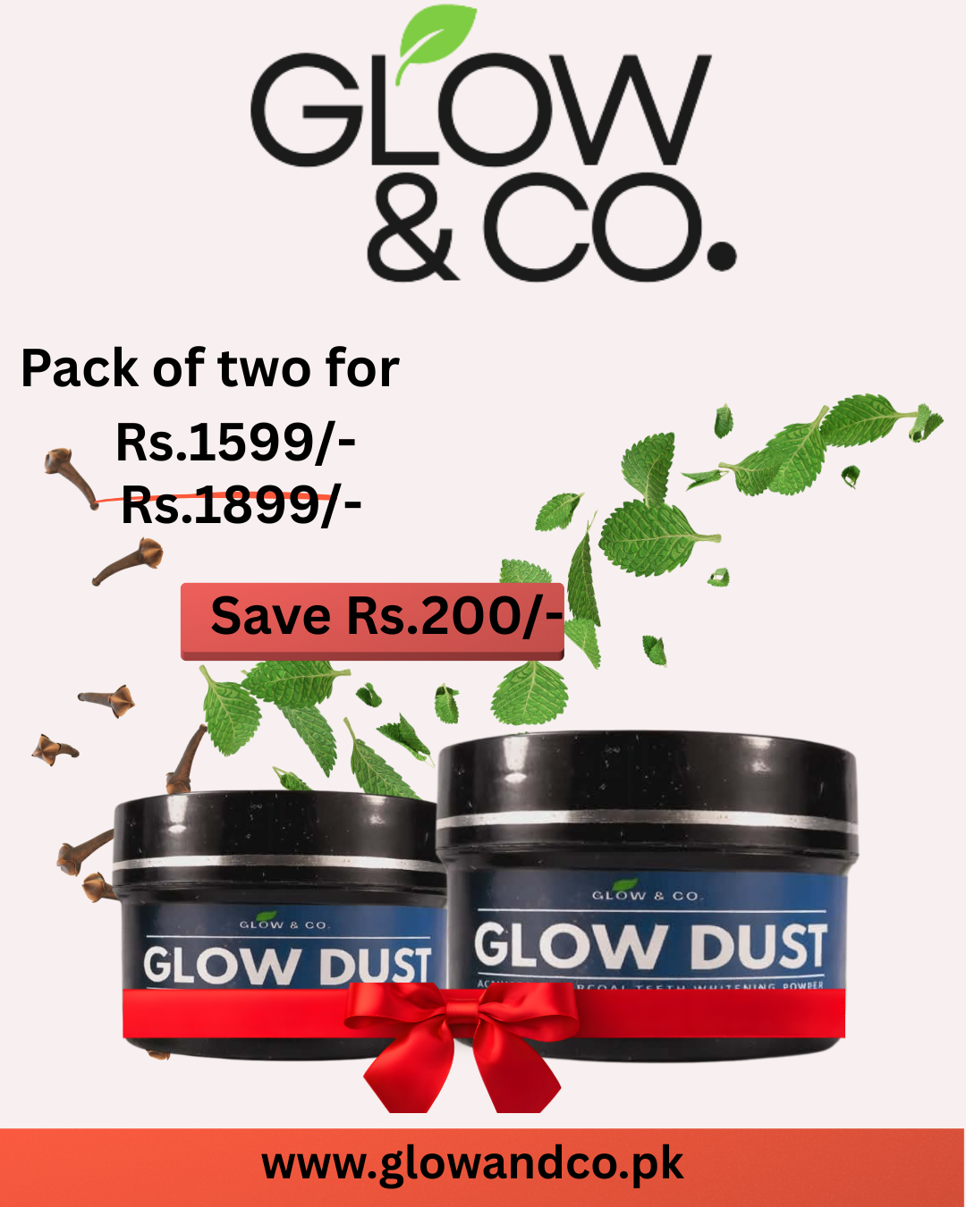 Squeaky Clean Teeth Bundle